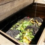 et se sert des autres déchets pour fabriquer du compost, aucun engrais chimique n'est utilisé.