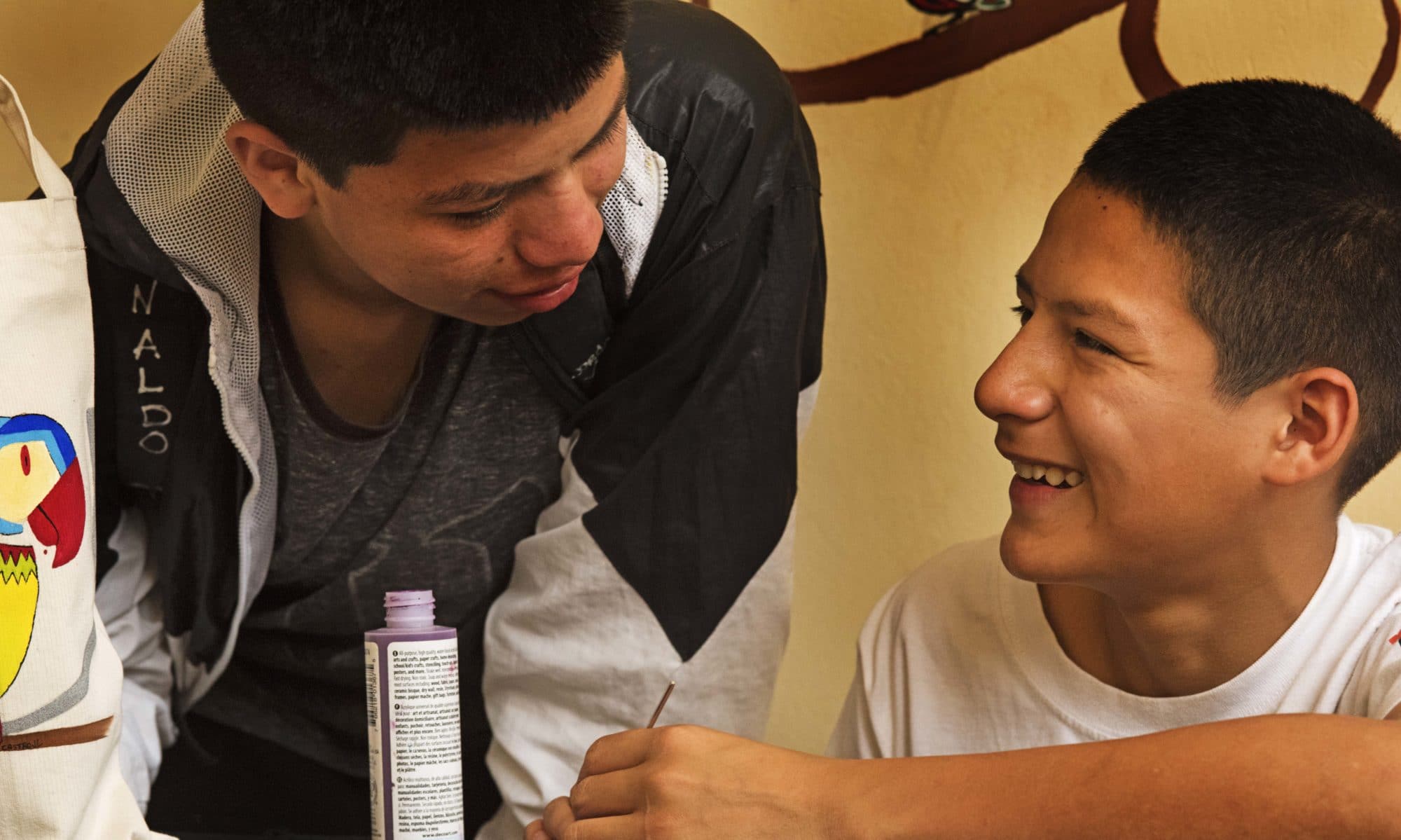 Association d'aide aux enfants des rues du Pérou